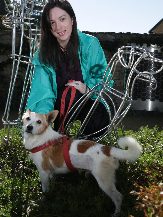 RSPCA volunteer Cori helping out at the Yagoona shelter last year.