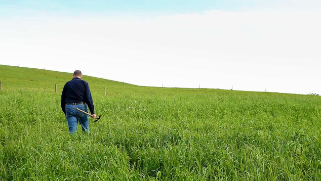 Energy Minister Angus Taylor says significant criticisms of the country’s carbon credit scheme are a direct attack on farmers, traditional owners and public servants. Picture: Andy Rogers