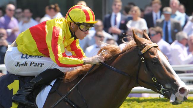 Quackerjack has good form around Epsom winner Kolding. Picture: AAP