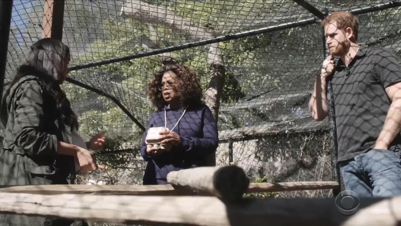 Oprah, Meghan and Harry at Archie’s Chick Inn. Picture: CBS