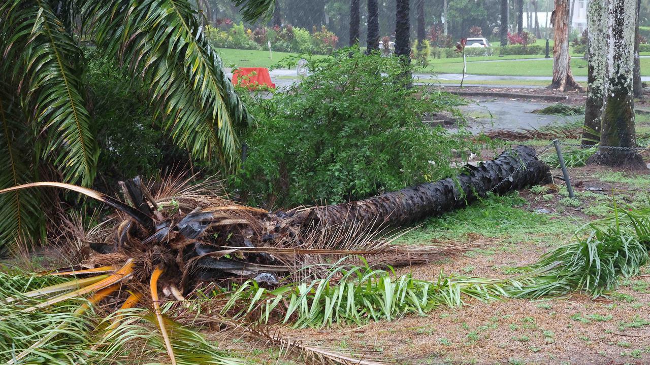 Trees blown down by TC Jasper in Port Douglas. Picture: Liam Kidston