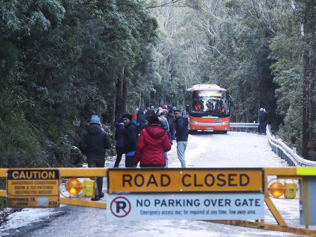 kunanyi/Mount Wellington Explorer Bus making it's way through people walking up the road. The Access to The Springs on kunanyi/Mount Wellington again after snowfall. Picture: Nikki Davis-Jones