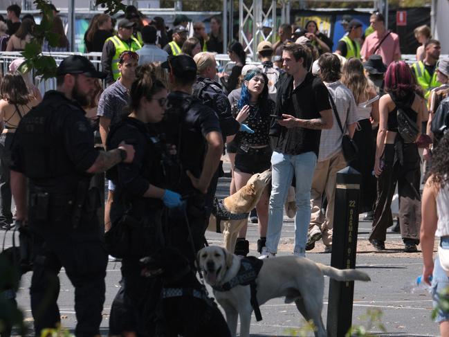 MELBOURNE AUSTRALIA - NewsWire Photos FEBRUARY 10, 2024: Police check music fans as they arrive at the 2024 St Jerome's Laneway Festival at The Park in Melbourne's Flemington.Picture: NCA NewsWire / Luis Enrique Ascui