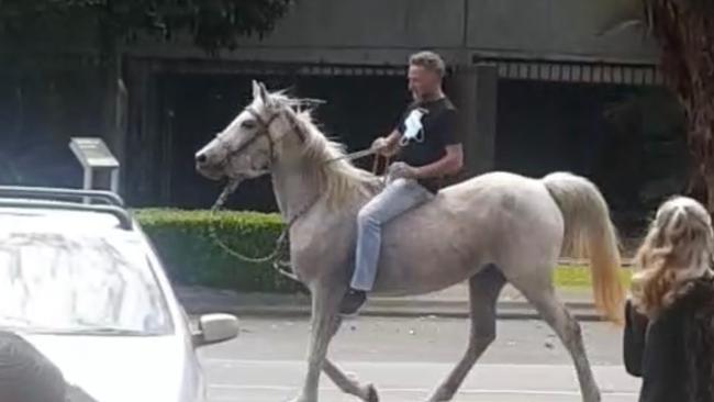 Michael Corrigan rode his horse to a protest in Murwillumbah on August 31, 2021.