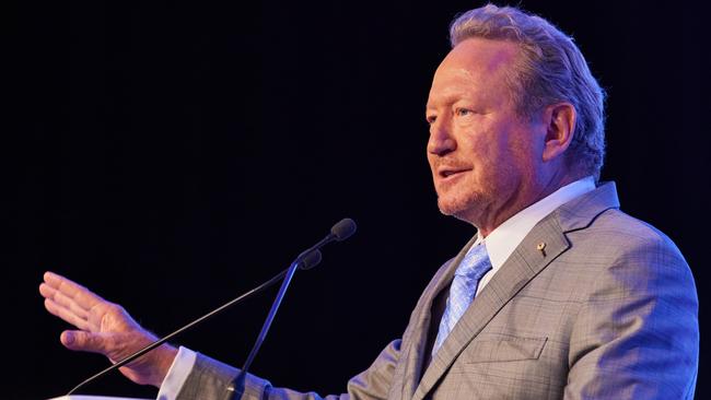 Squadron Energy owner Andrew Forrest.