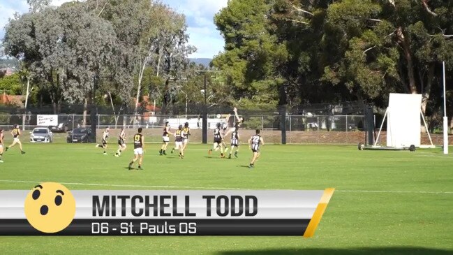 Adelaide Footy League Marks of the Week