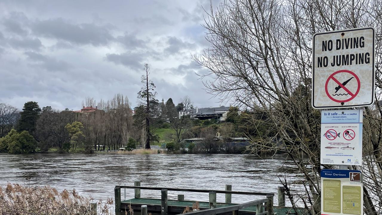 Flooding in the Derwent River. Picture: Genevieve Holding