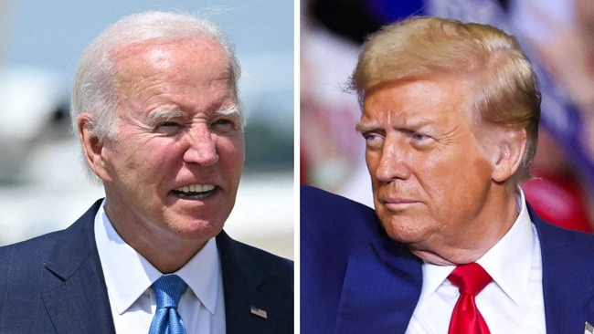 web art for Trump, Biden