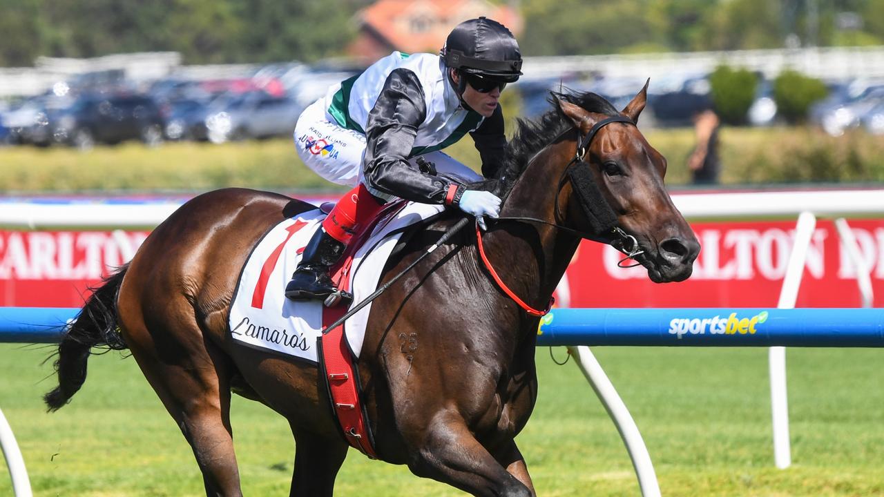 Mr Brightside. Picture: Pat Scala/Racing Photos via Getty Images