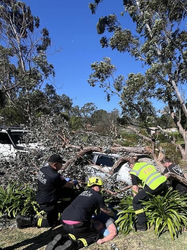 A woman has been injured after a tree came down on a car on Brigalow Ave Camden.