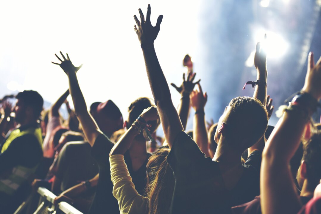 More than a dozen ill after Sydney festivals