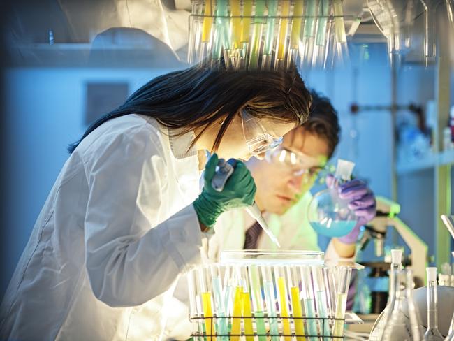 scientist, doctor, asistent working at the laboratory using pipette.  Picture: iStock