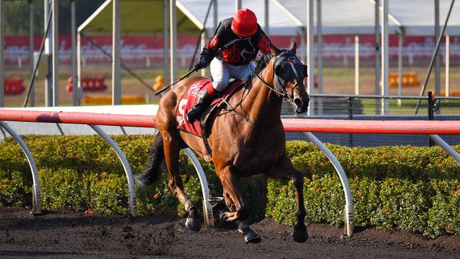 The Jason Manning trained Noir De Rue won the 2023 Chief Minister's Cup with jockey Vanessa Arnott aboard. Picture: Caroline Camilleri