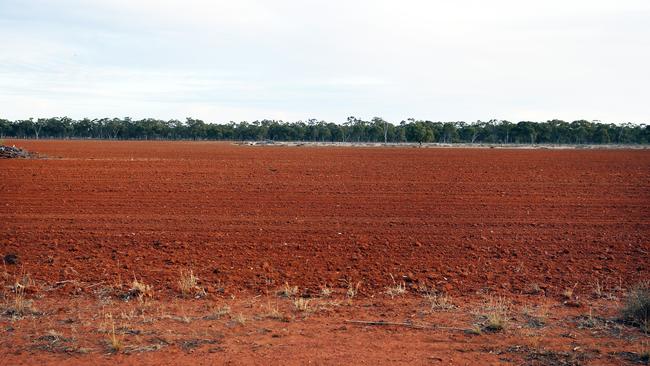 The sight of wide expanses of dry earth greets farmers every day around the state. Picture: Sam Ruttyn