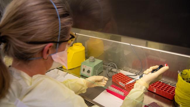 Specialist doctors check samples for coronavirus labs at the Royal Melbourne Hospital. Picture: Jason Edwards