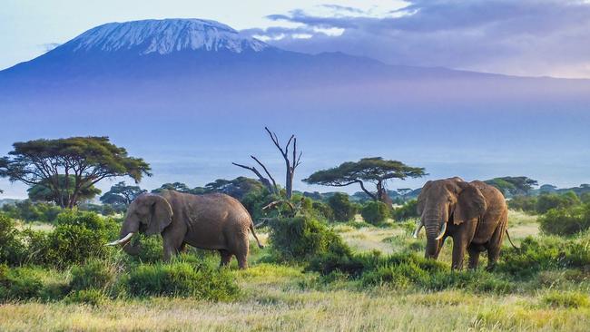 The highest single, free-standing mountain in the world, Mount Kilimanjaro.