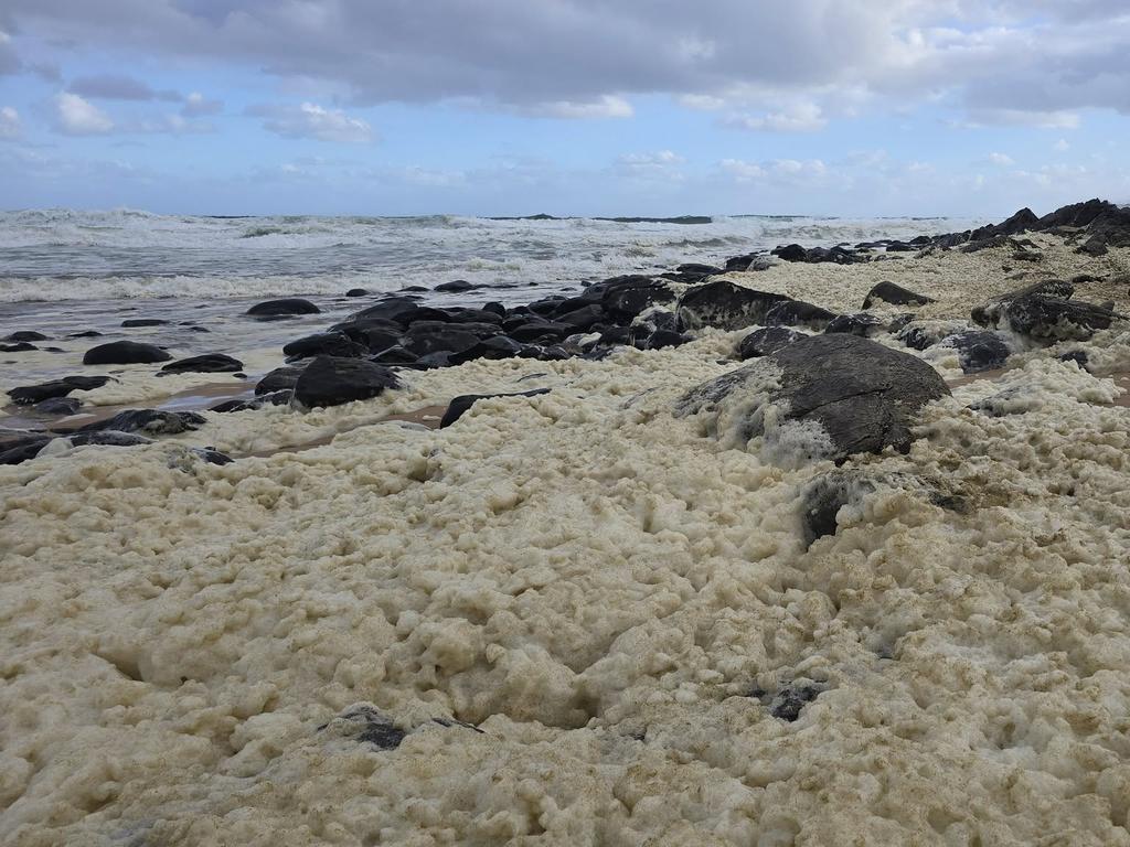 The beaches have been temporarily closed while an investigation takes place. Picture: Facebook