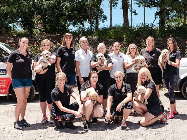 ‘Quite devastating’: Noosa dog training facility’s push to stay open