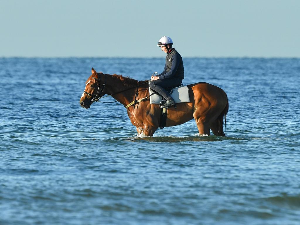 Finche is now Melbourne Cup favourite.