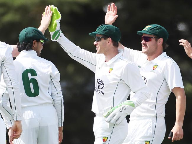 tim Paine celebrates a wicket with his teammates. Picture Nikki Davis-Jones