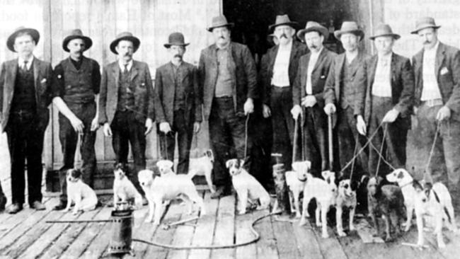 Rat catchers in Brisbane in 1930s.