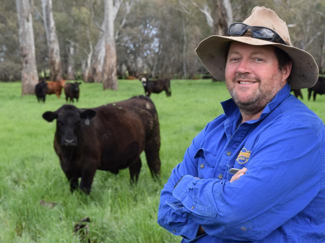 Tim Stokes, manager of Karn Station via Benalla, with Stabilser-Angus steers. PICTURE: JAMIE-LEE OLDFIELD