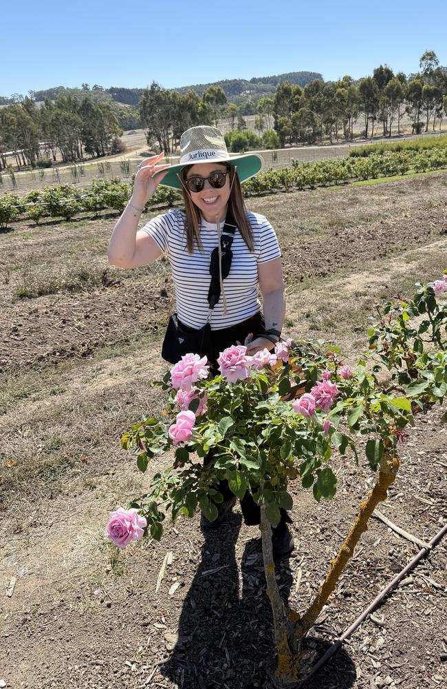 I got to visit the Jurlique Farm earlier this year and witness the rare roses in full bloom. Picture: news.com.au