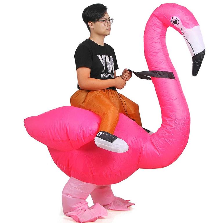 Wild Cheers, Inflatable Flamingo Costume.