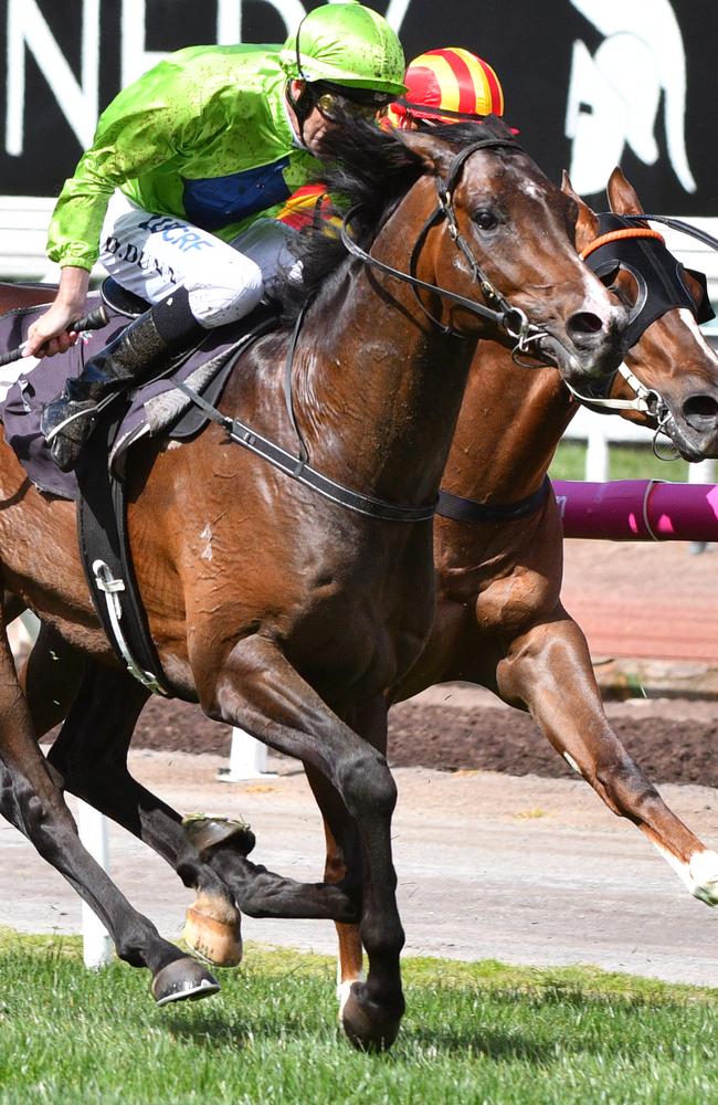 Dwayne Dunn and Royal Symphony power home late to win at Flemington. Picture: Getty Images