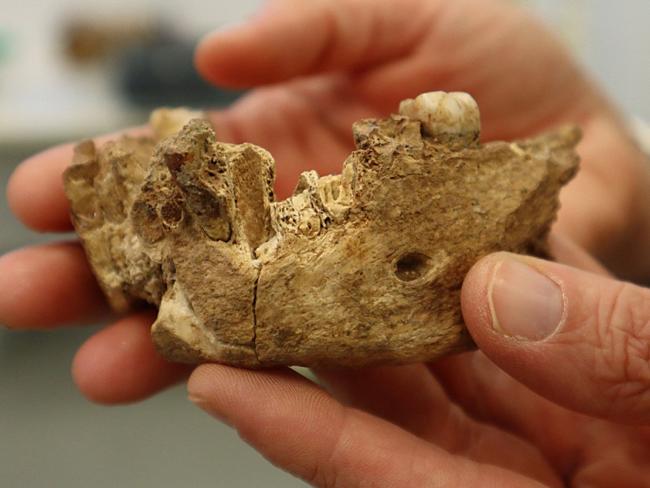 Bones of ‘ghost human’ found in Israel
