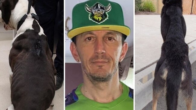 Emu Heights man Miso Trifkovic has been convicted of two animal cruelty offences at Penrith Local Court. Picture: Supplied