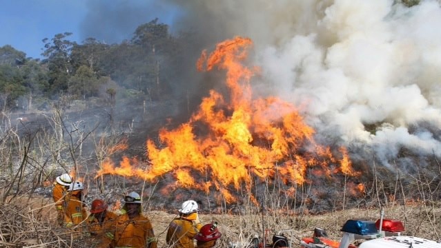 Philip has been suspended from the RFS - and it’s expected he will be let go entirely.