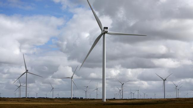 Wind farm turbines take toll on birds of prey | The Weekly Times