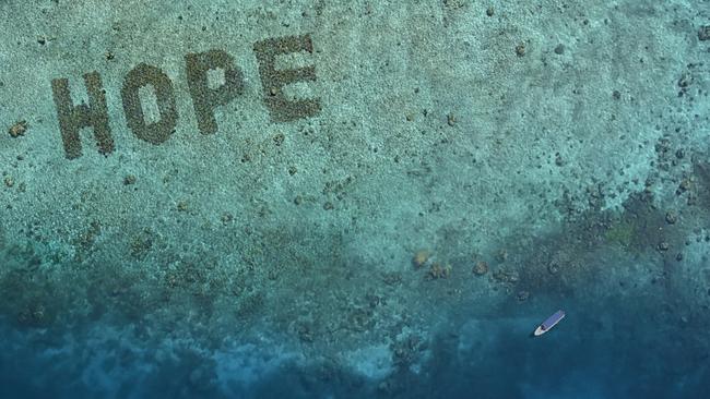 Mars Petcare was named Sustainable Supplier of the Year. The company supports a number of environmental initiatives, including Dine Hope Reef, which is regenerating coral reefs in Indonesia. Picture: Supplied