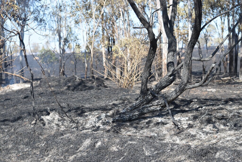 The aftermath of where the Grantham fire burned through 123 hectares along Philps Rd,. Picture: Ali Kuchel