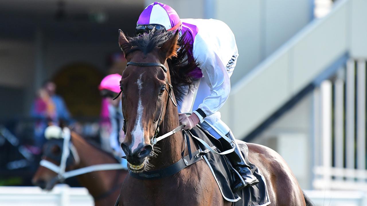 Go Wandji winning for jockey Larry Cassidy at Eagle Farm. Picture: Grant Peters-Trackside Photography