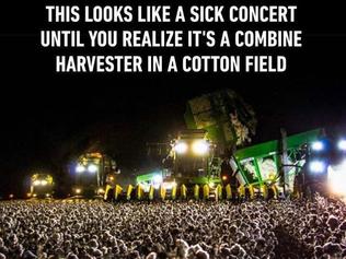 Meme of the week: Concert or cotton? | The Weekly Times