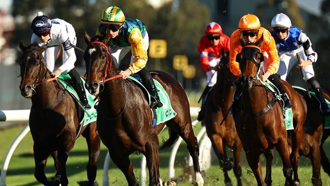 Ceolwulf winning Rosehill two starts ago. Picture: Jeremy Ng/Getty Images