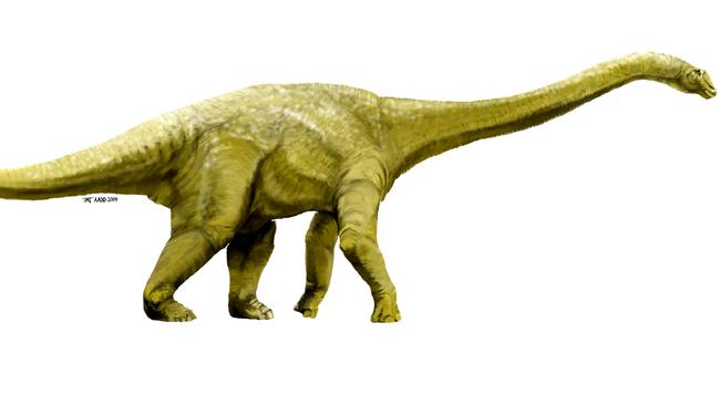 New species of enormous 30 metre-long dinosaur discovered inside a ...