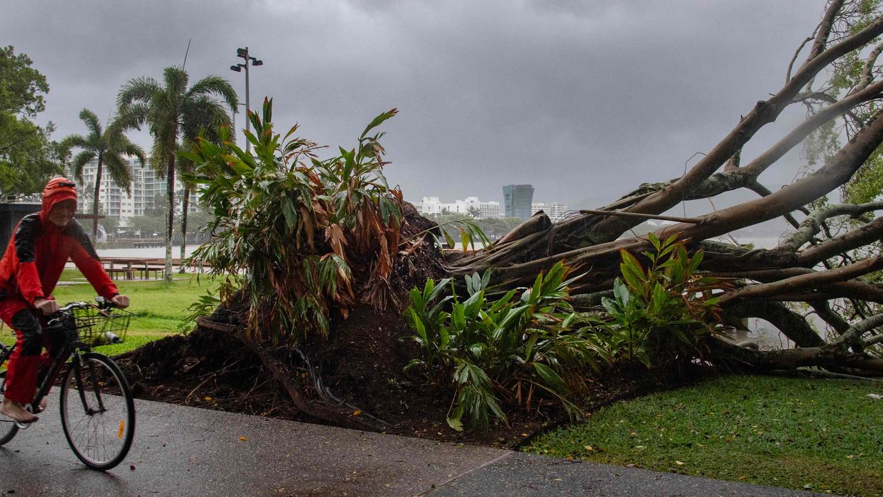 Trees were down in Cairns. Picture: Brian Cassey / AFP