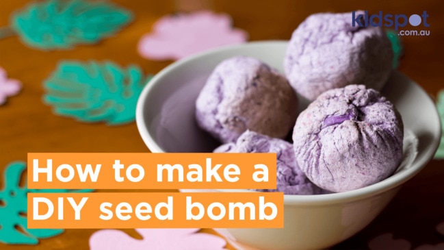 How to make a DIY seed bomb