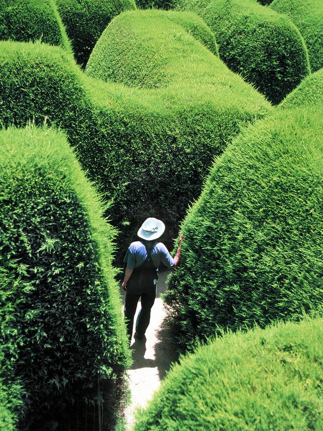 Ashcombe Maze at Shoreham is Australia’s oldest hedge maze.