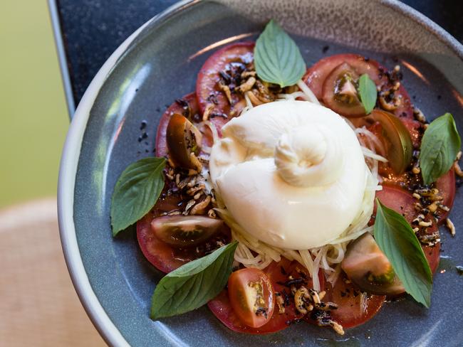 Burrata, heirloom tomatoes and barrel aged fish sauce at Uncle. Picture; Supplied