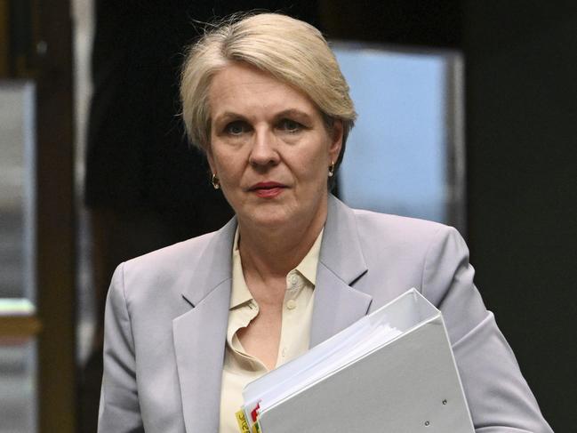 CANBERRA, Australia, NewsWire Photos. May 15, 2024: Tanya Plibersek arrives for Question Time at Parliament House in Canberra. Picture: NCA NewsWire / Martin Ollman