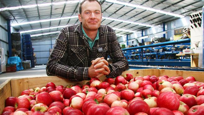 Orchardist Justin Miller with some of this season's new apples.