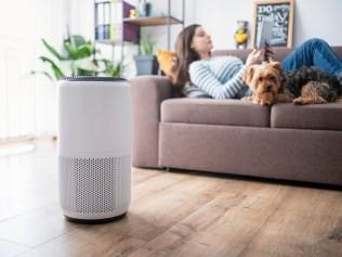 Freshen up the air around you with our round up of the top air purifiers. Picture: iStock.