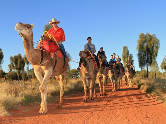 Mark Swindells leads a merry band of tourists from Yulara to the desert near Uluru. He and his 2 business partners grew the company from five humps to 45 in less than 2 years and won 2 brolgas. Picture: supplied. Businessweek