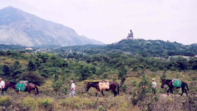 Cableway workers on the Tung Chung cable car project in Hong Kong use mules to access the route. 2004