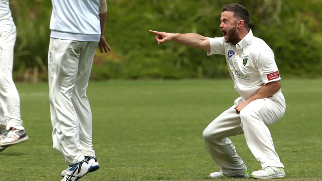 Michael Rogneda appeals for a wicket for Plenty Valley. Picture: Hamish Blair