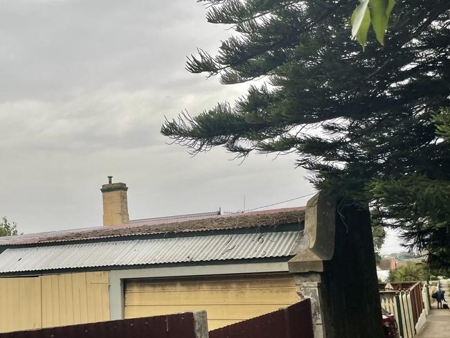 Twigs and leaves left on a resident's shed from a nearby Norfolk Island pine. Picture: Jack Colantuono